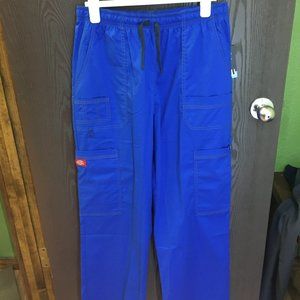 Dickies Youtility Men's Pants